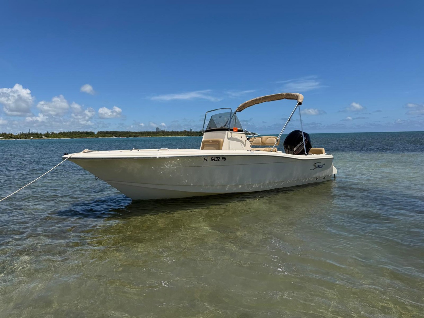 19ft Scout Yacht For Sale
