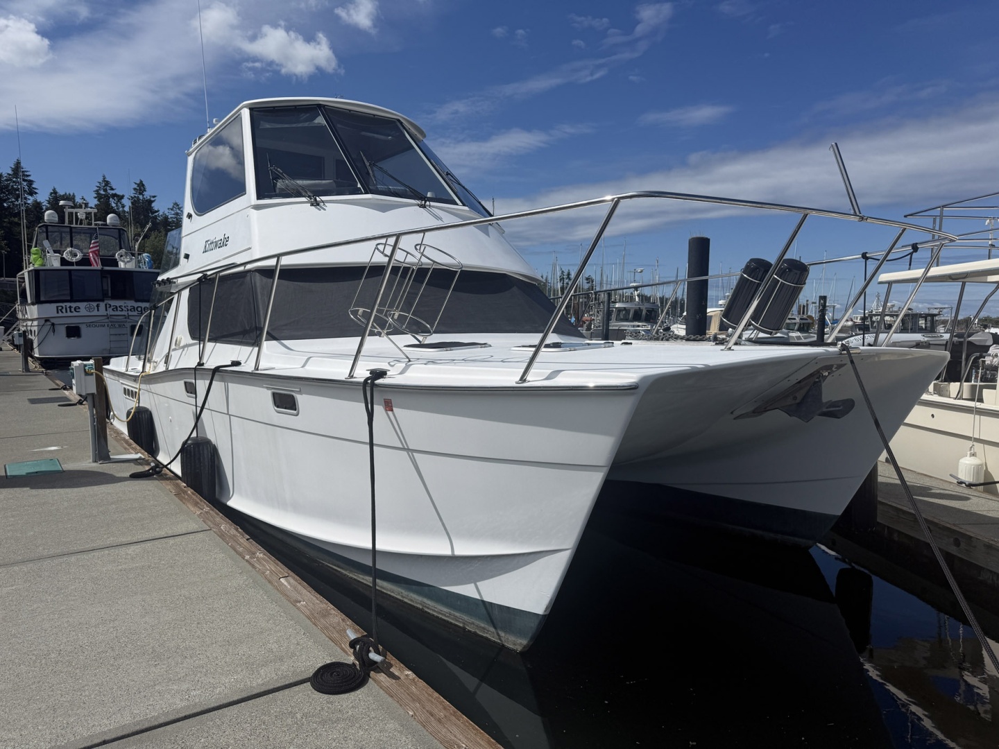 2004 Custom TLD Custom Power Cat