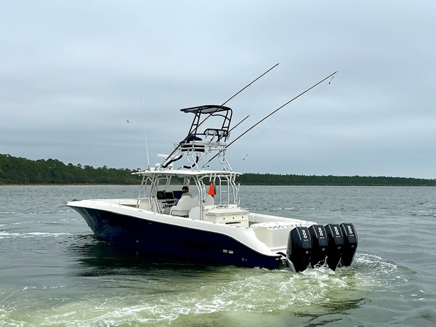Hydra-Sports Vector 4100CC - Photo 3