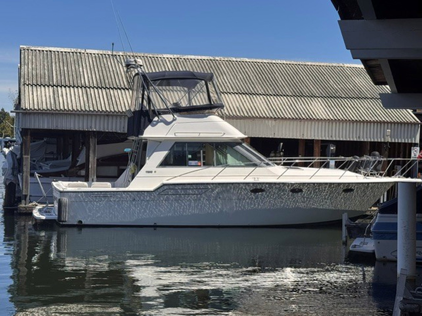 1988 Tiara Sport 3600 Convertible