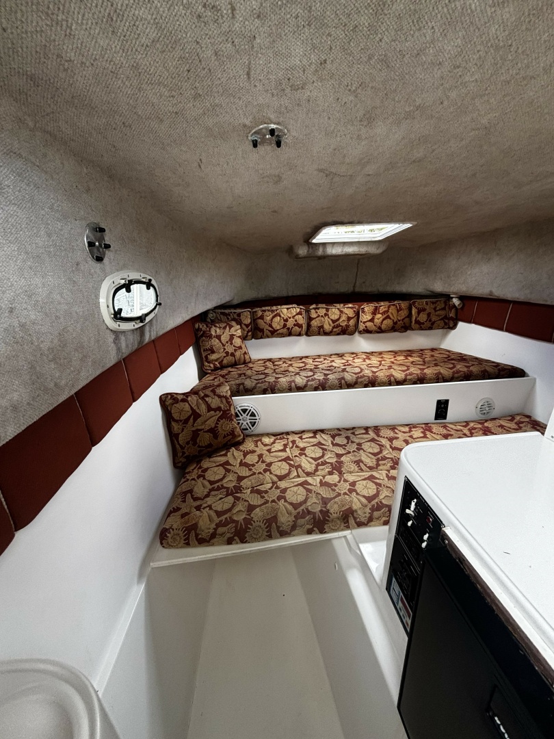 Double Trouble      29ft Pro Sports Yacht For Sale