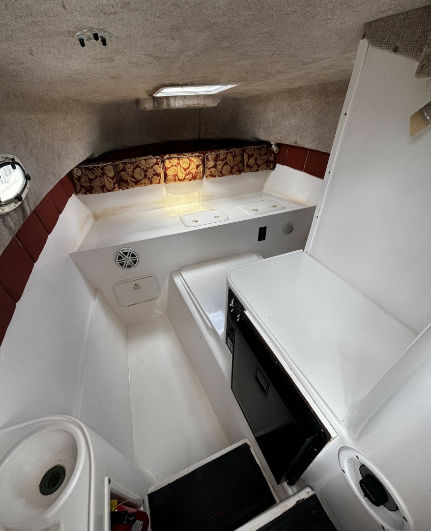 Double Trouble      29ft Pro Sports Yacht For Sale