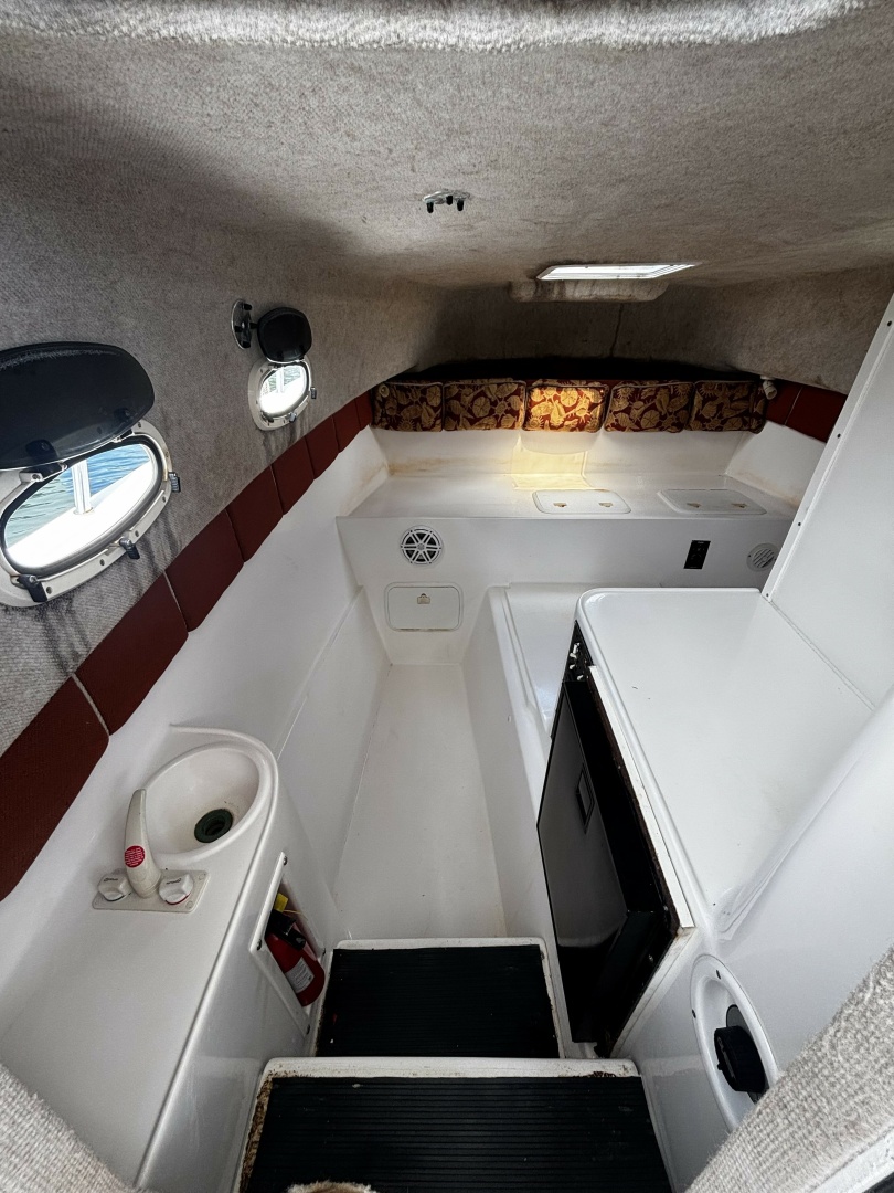 Double Trouble      29ft Pro Sports Yacht For Sale