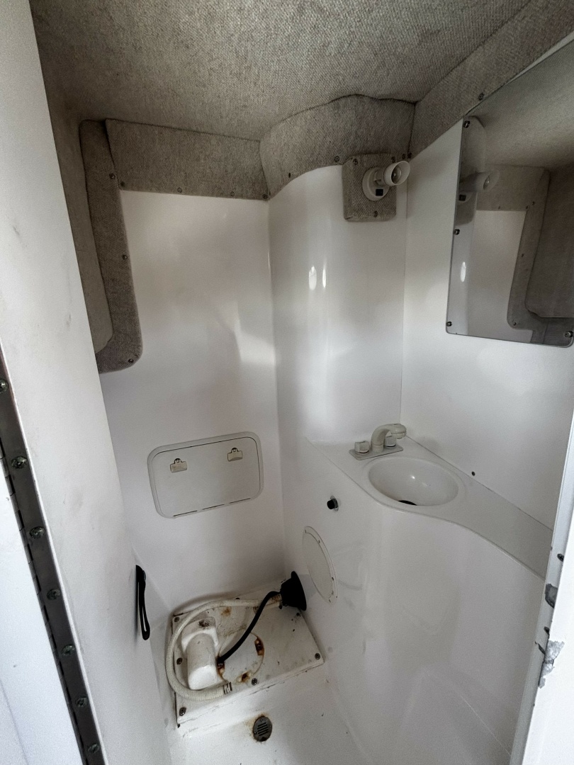 Double Trouble      29ft Pro Sports Yacht For Sale