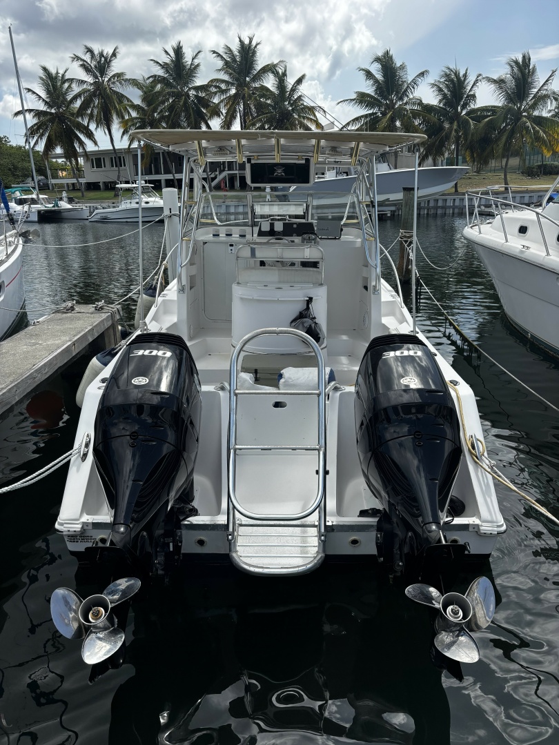 Double Trouble      29ft Pro Sports Yacht For Sale