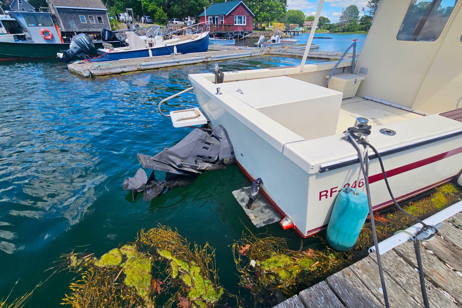 2001 Rosborough RF-246 Custom Wheelhouse