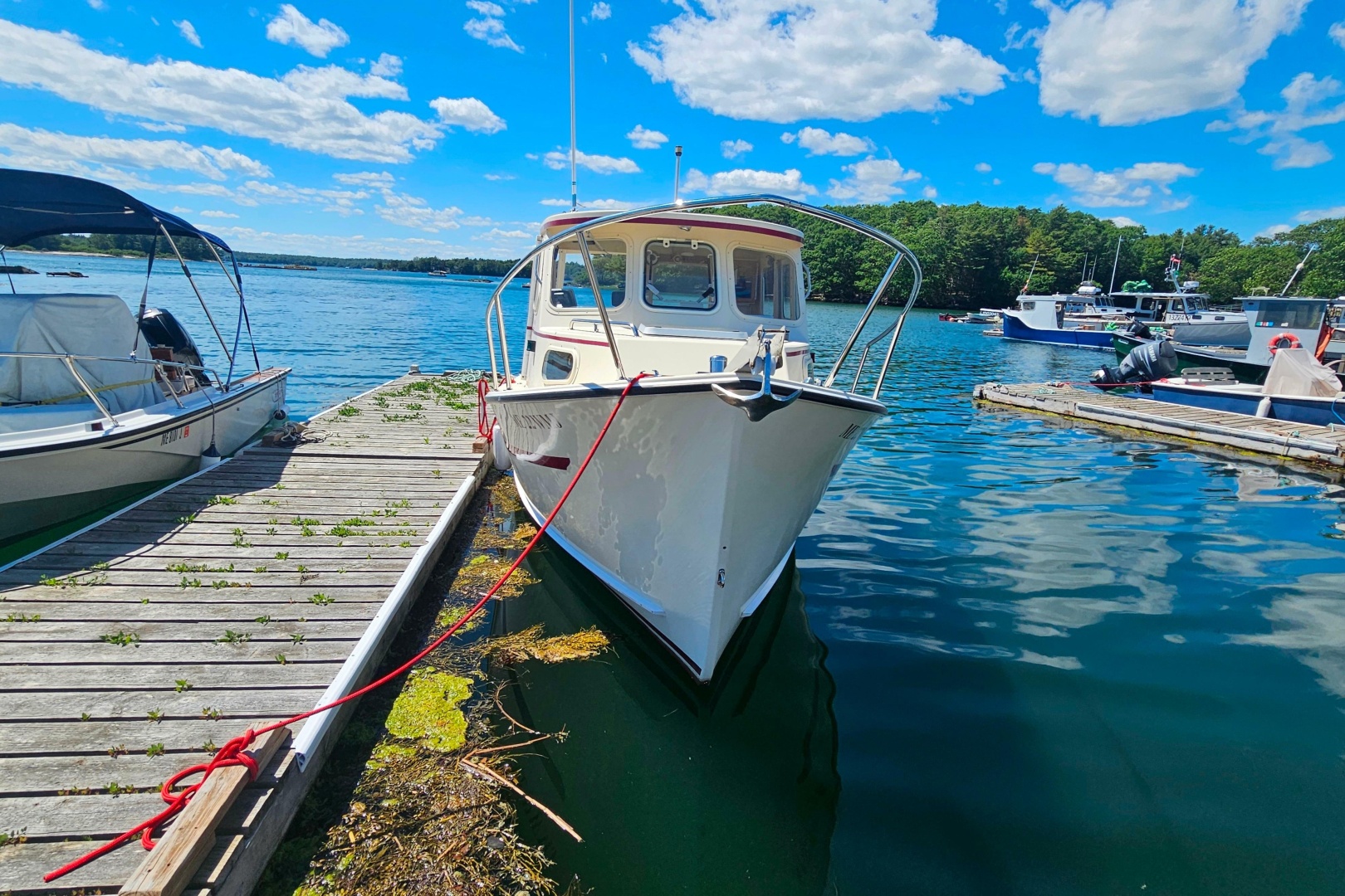 2001 Rosborough RF-246 Custom Wheelhouse