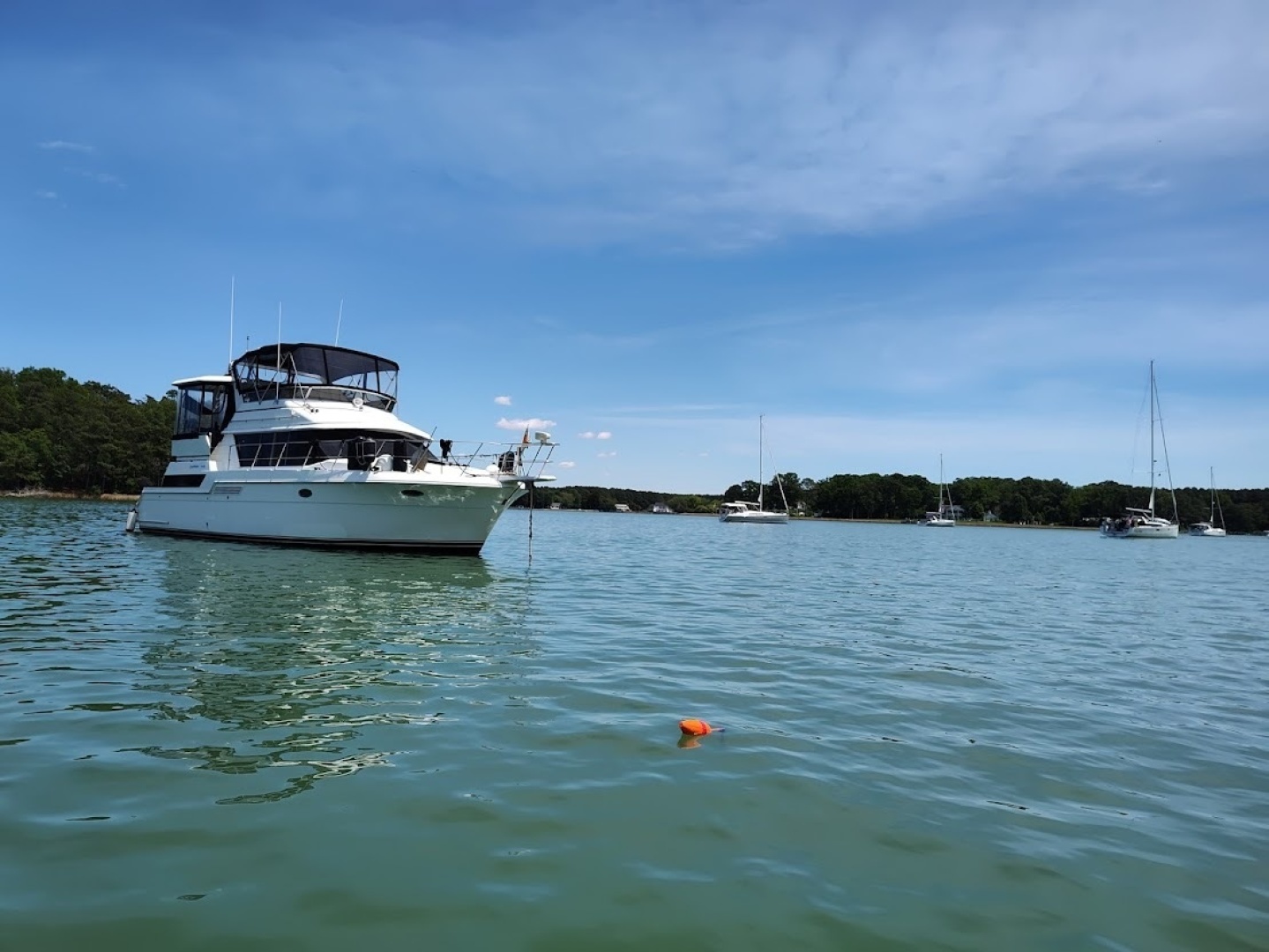 43' Carver starboard forward profile