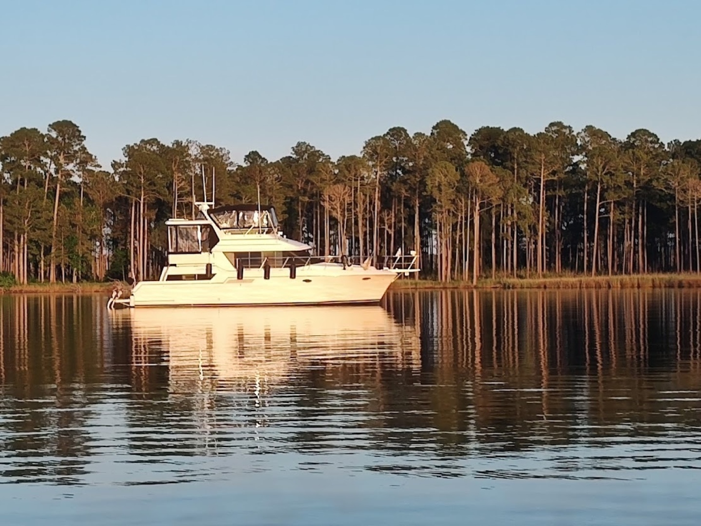 Exodus 43ft Carver Yacht For Sale