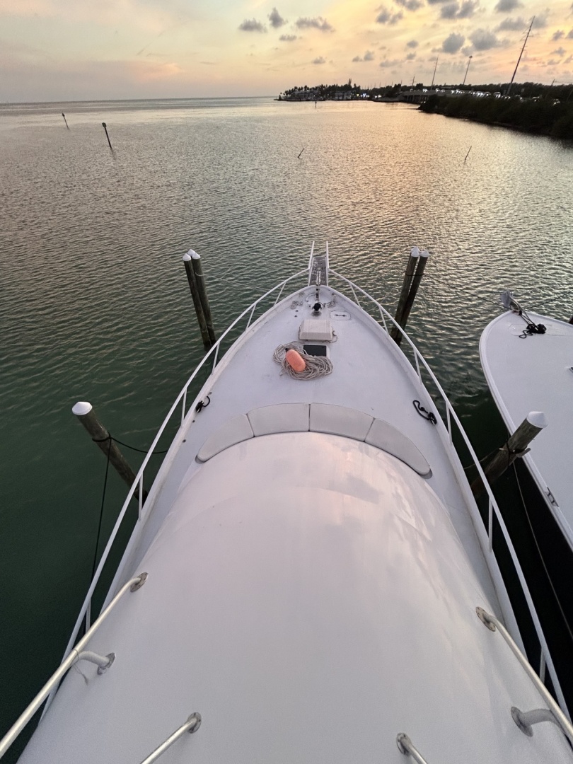 Striker 60 Sportfish — Caught - Photo 6