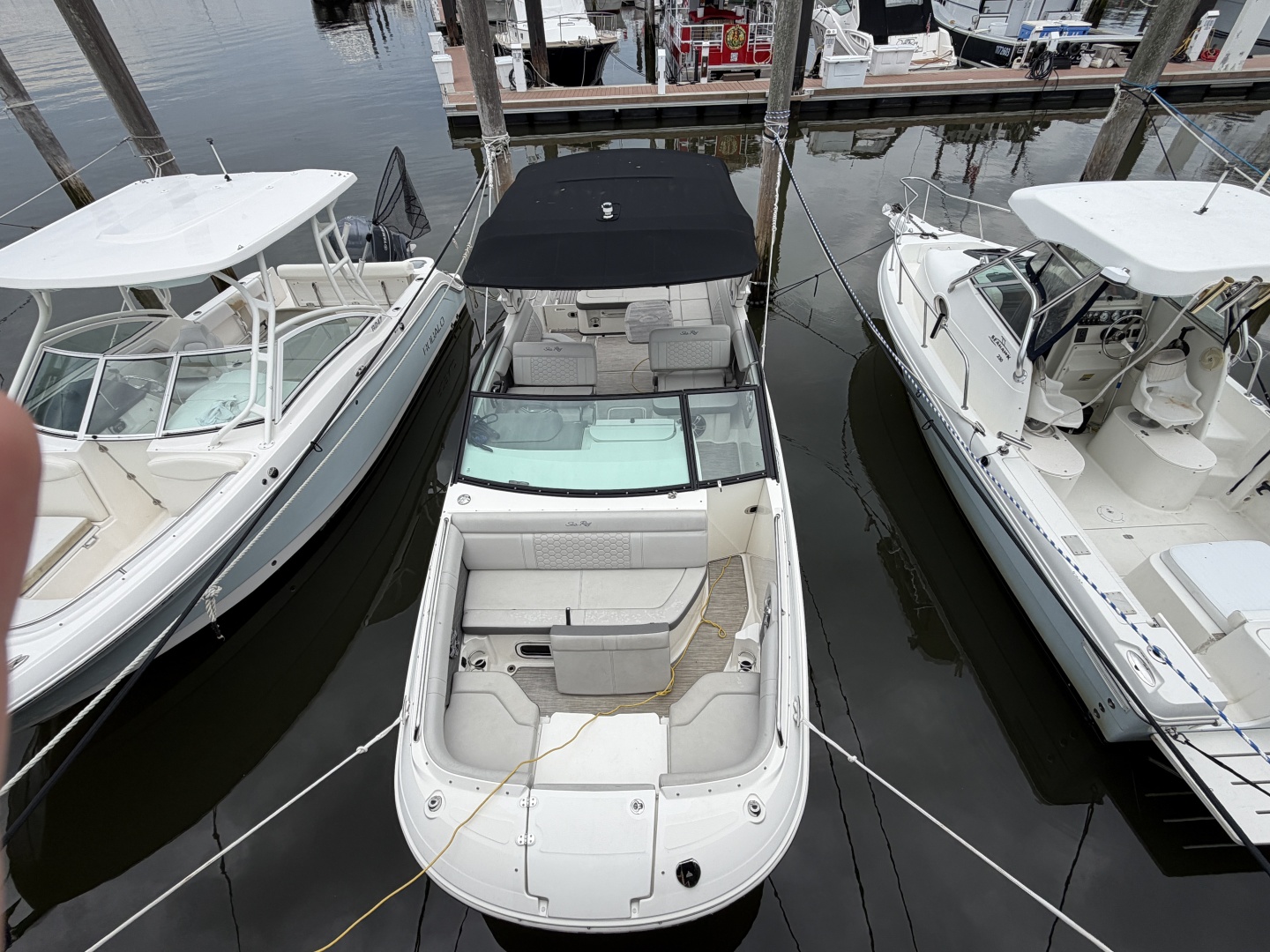 25ft Sea Ray Yacht For Sale