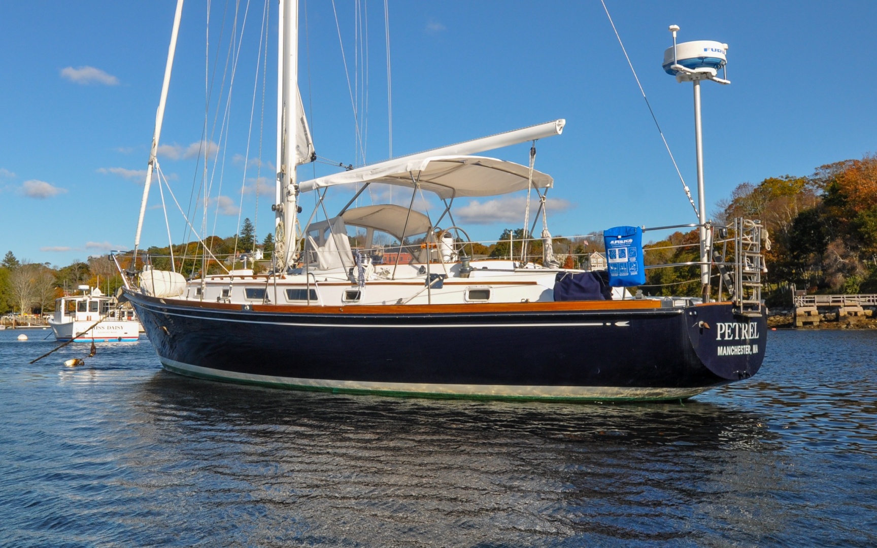 Bristol 41.1 — Petrel - Photo 3