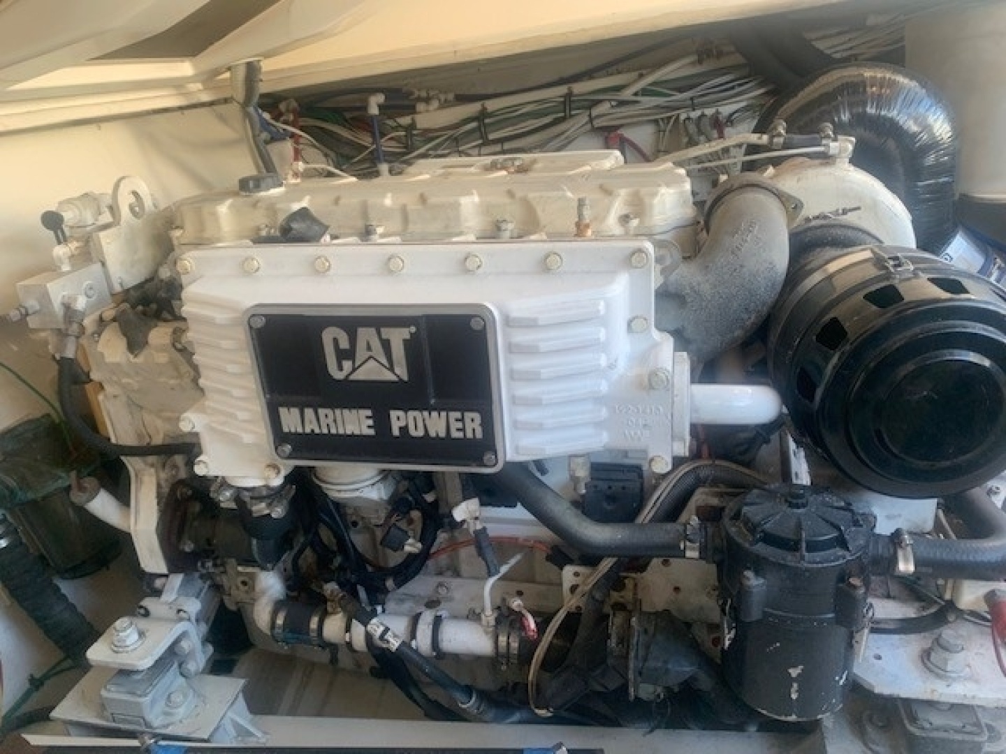 Rampage 38 Express — Sea Troll - Photo 84