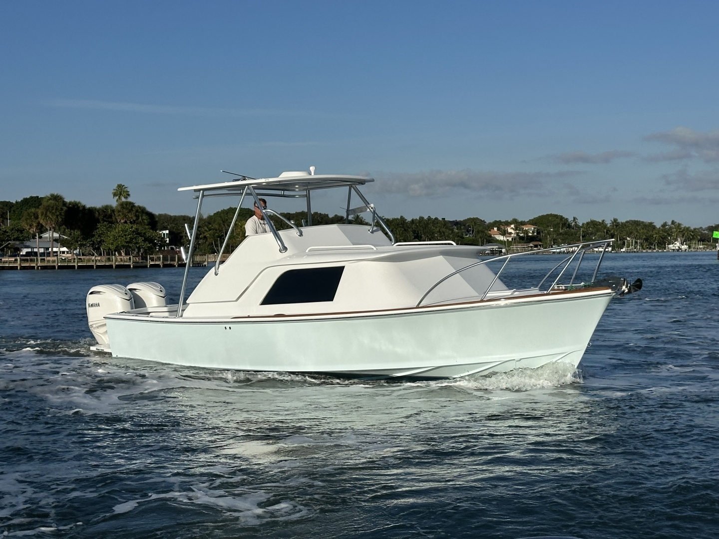 Bertram 31 Express Cruiser — JOY RIDE