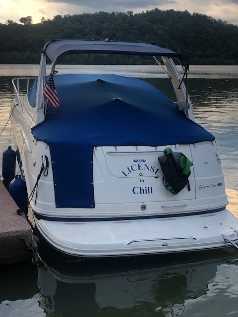 29ft Chaparral Yacht For Sale