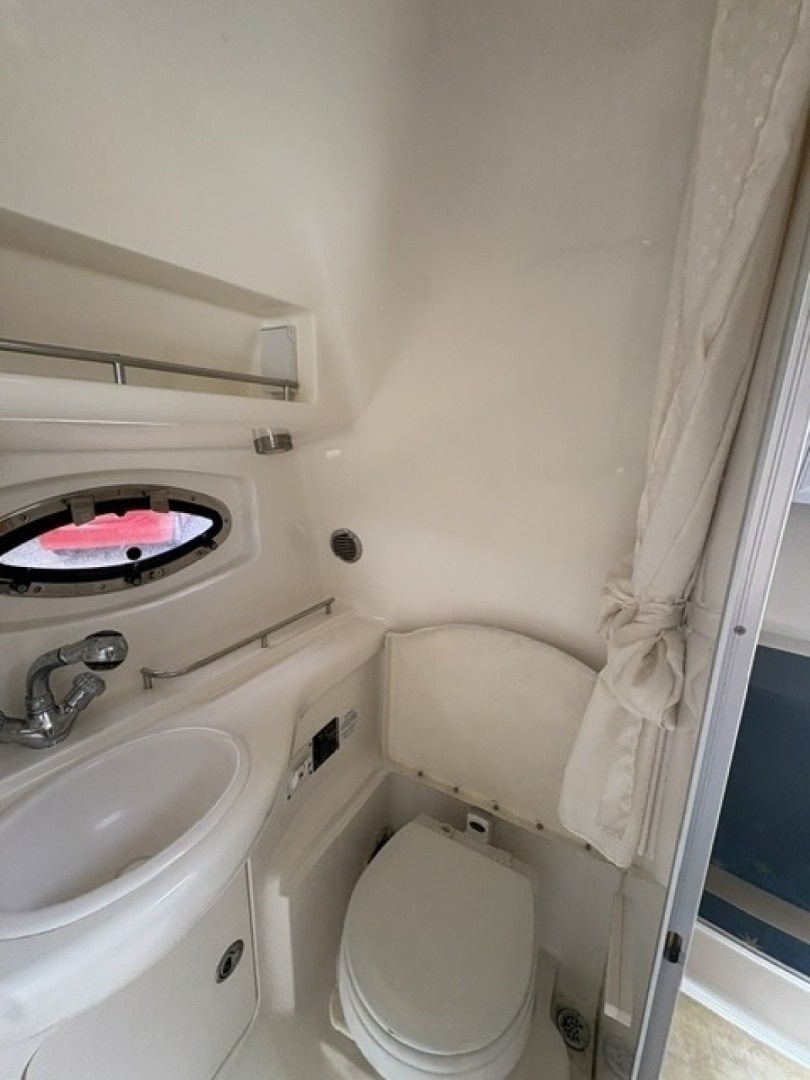 29ft Chaparral Yacht For Sale