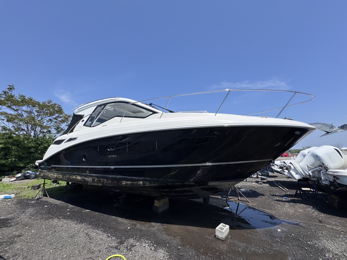 Sea Ray
