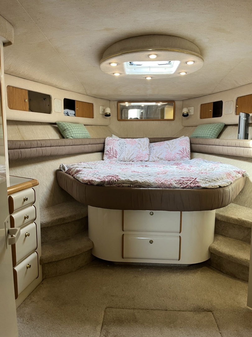 Sea Ray - Photo 6