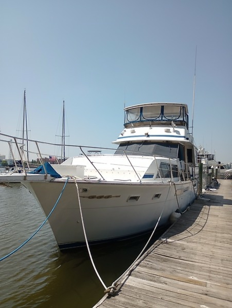 Chris-Craft Constellation 500 — Dreamin Aweigh