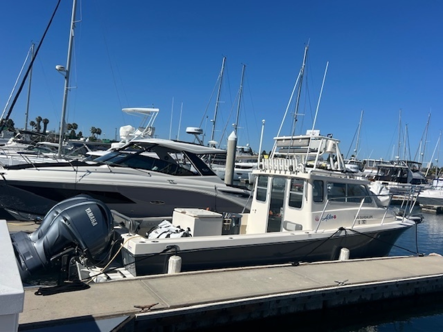 Defiance GUADALUPE 290 EX Yacht For Sale