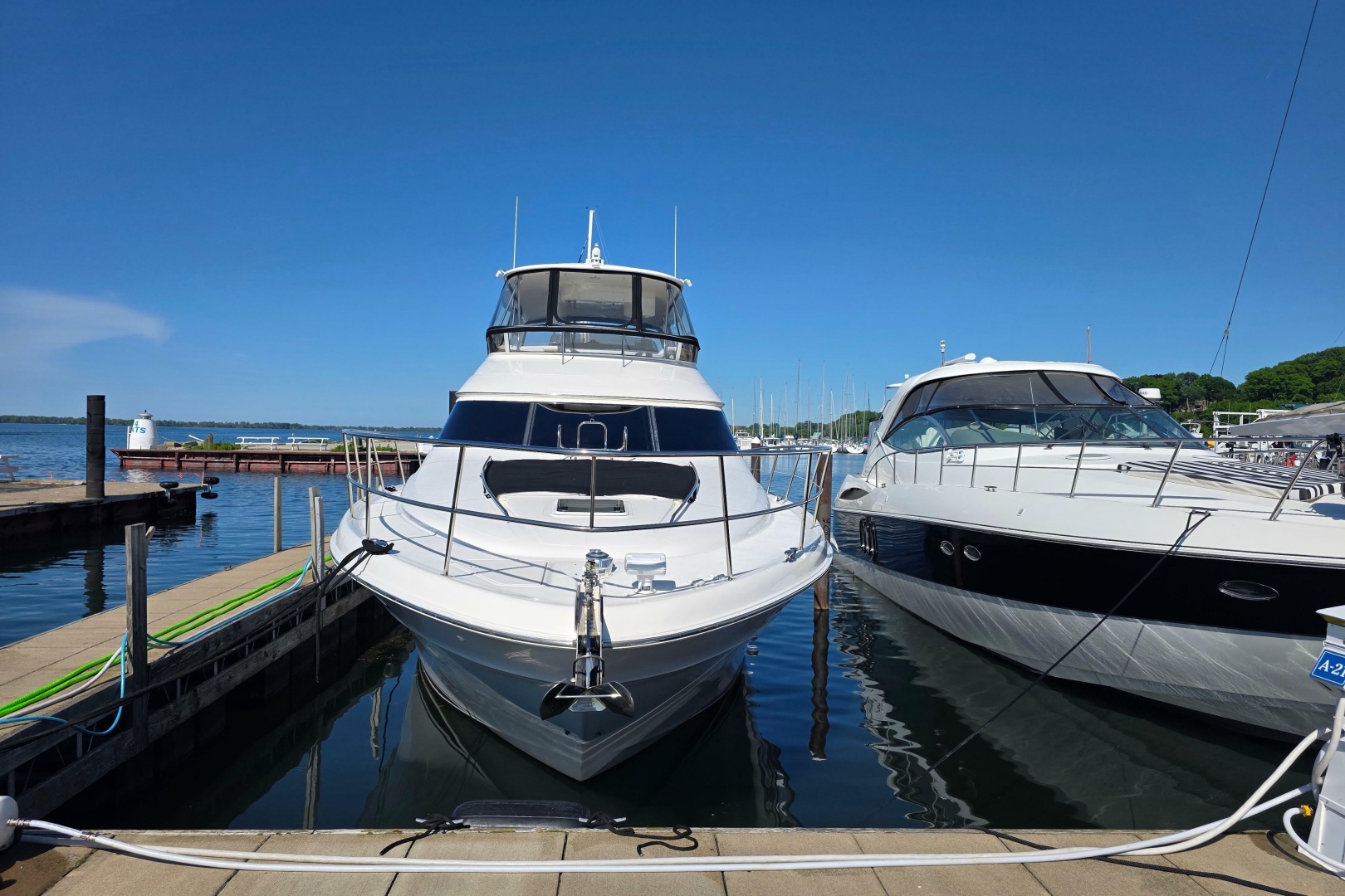 Sea Ray 560 Sedan Bridge — VTL - Photo 5