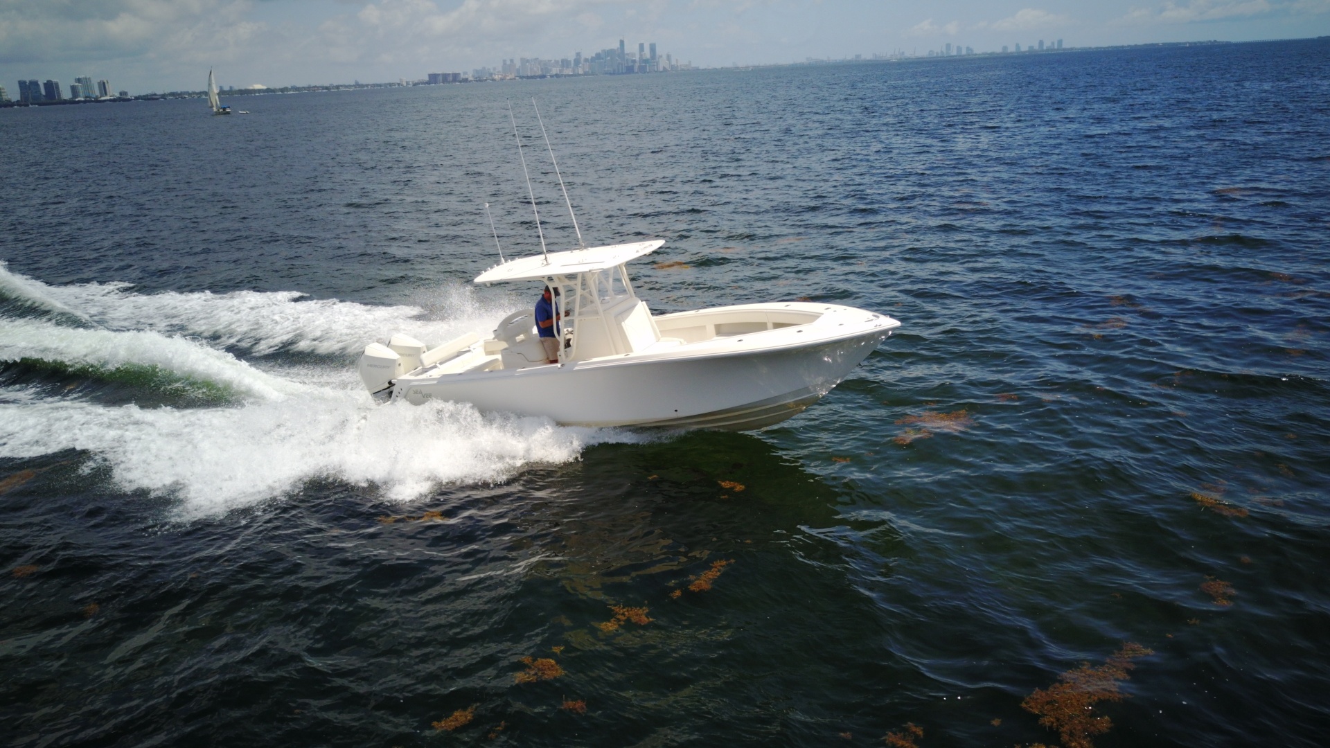 SeaVee 290B — SEA BREEZE - Photo 2