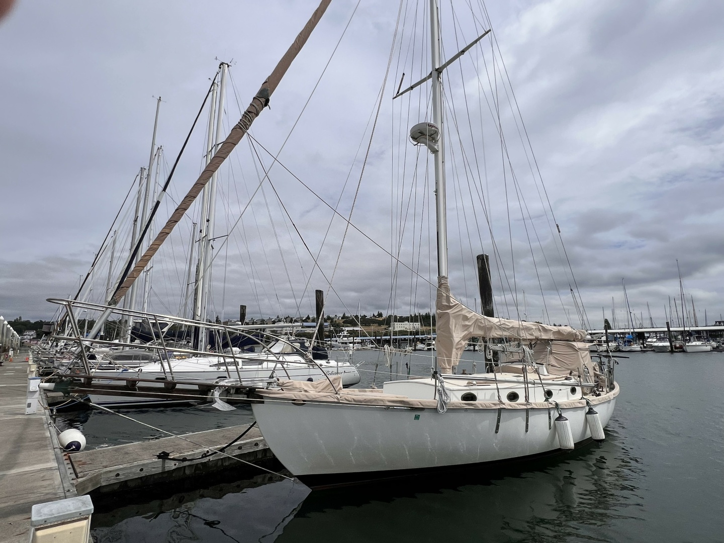 38ft Alajuela Yacht Corp  Yacht For Sale