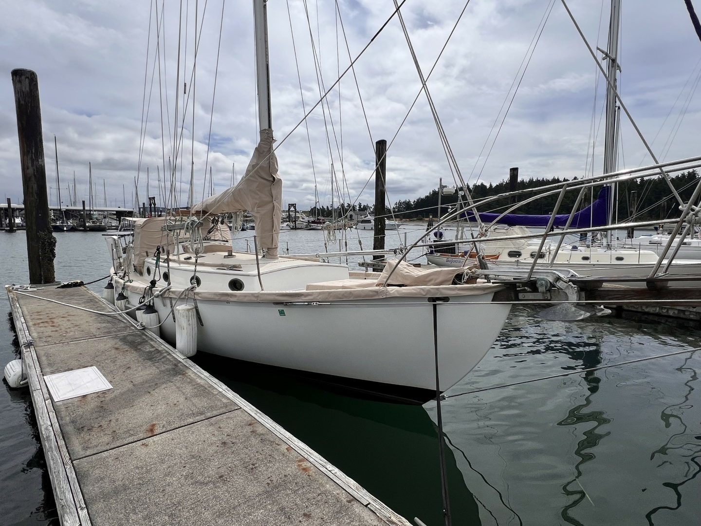 38ft Alajuela Yacht Corp  Yacht For Sale
