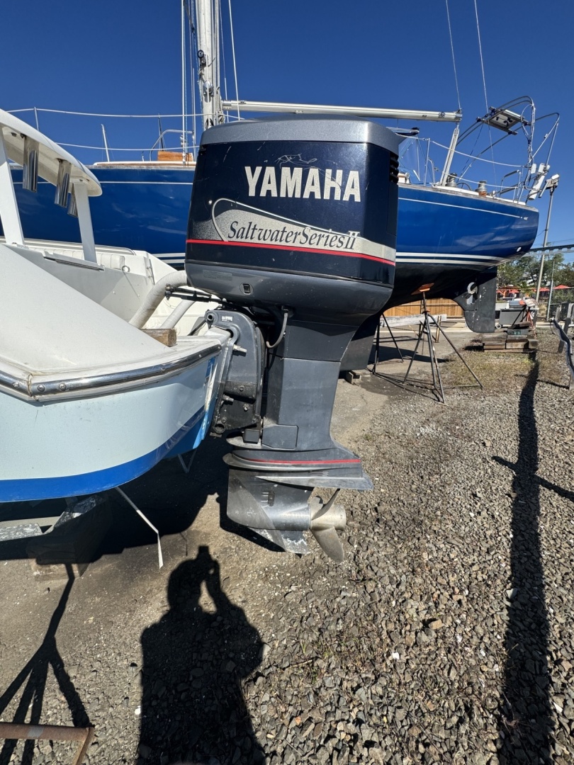 My Seaductress 33ft Donzi Yacht For Sale My Seaductress 33ft Donzi Yacht For Sale