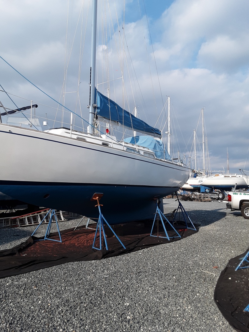 Lucky Dog 35ft Pearson Yacht For Sale