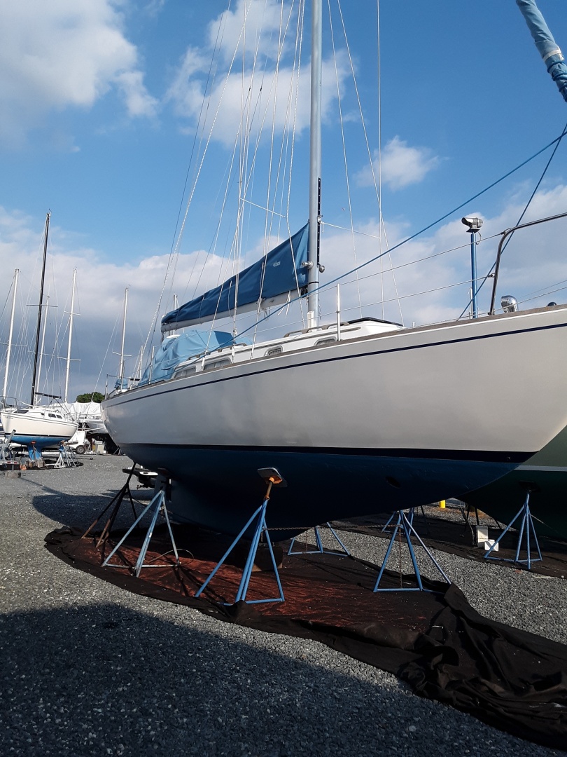 Lucky Dog 35ft Pearson Yacht For Sale