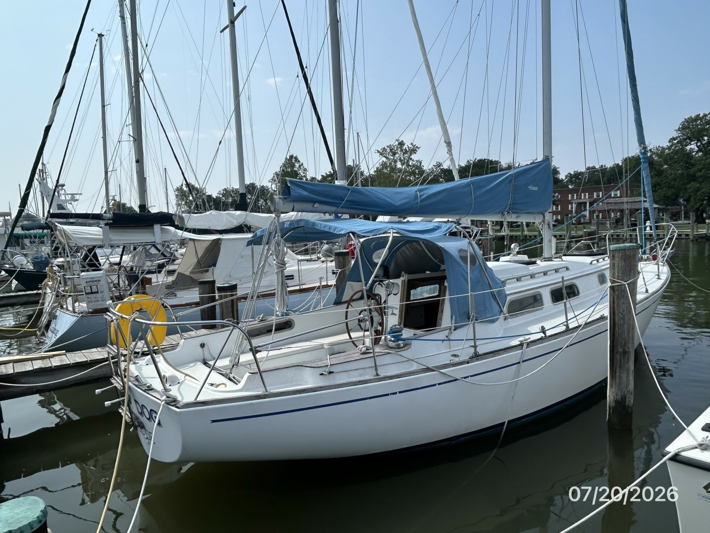 Lucky Dog 35ft Pearson Yacht For Sale
