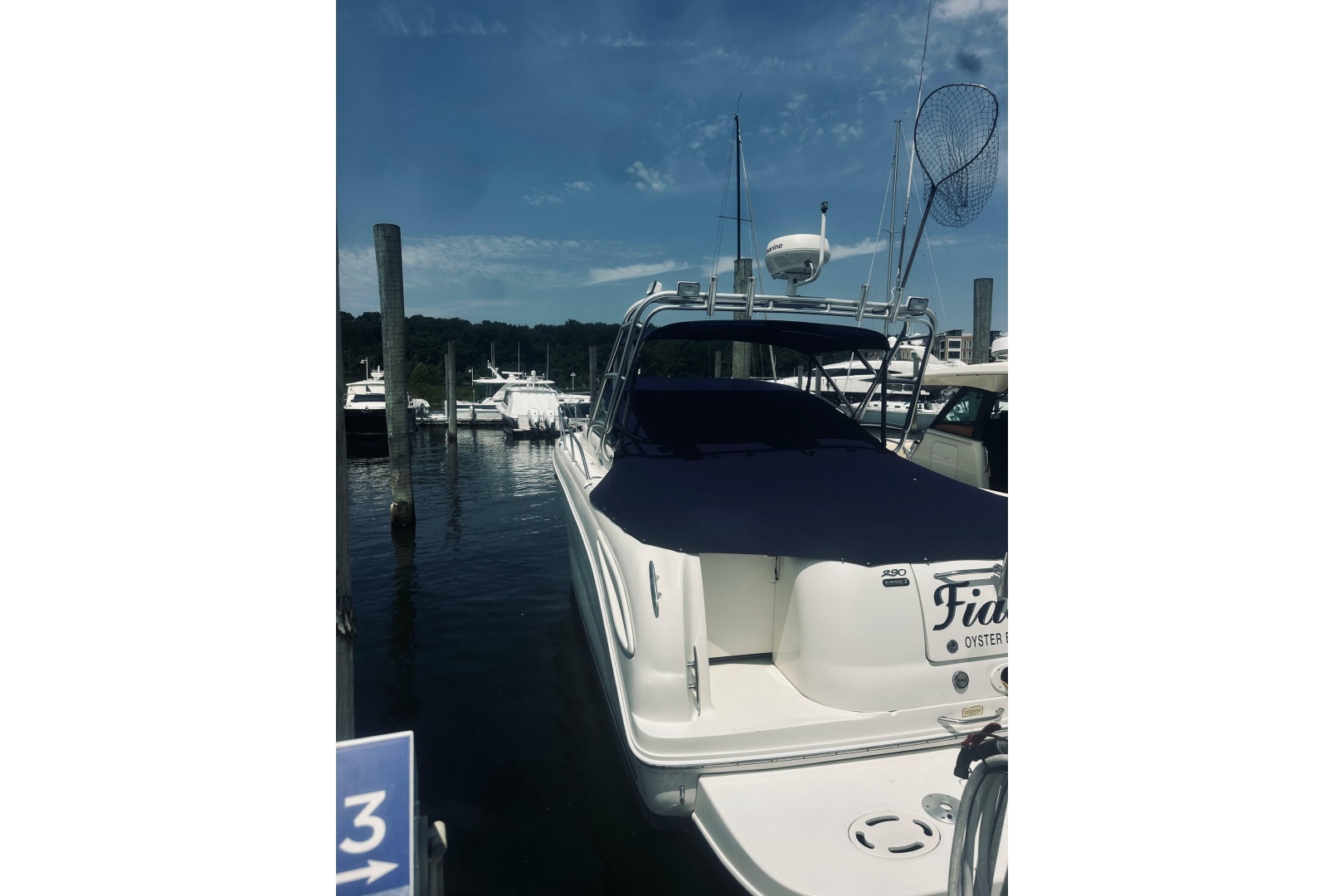 Fiasco 29ft Sea Ray Yacht For Sale Fiasco 29ft Sea Ray Yacht For Sale