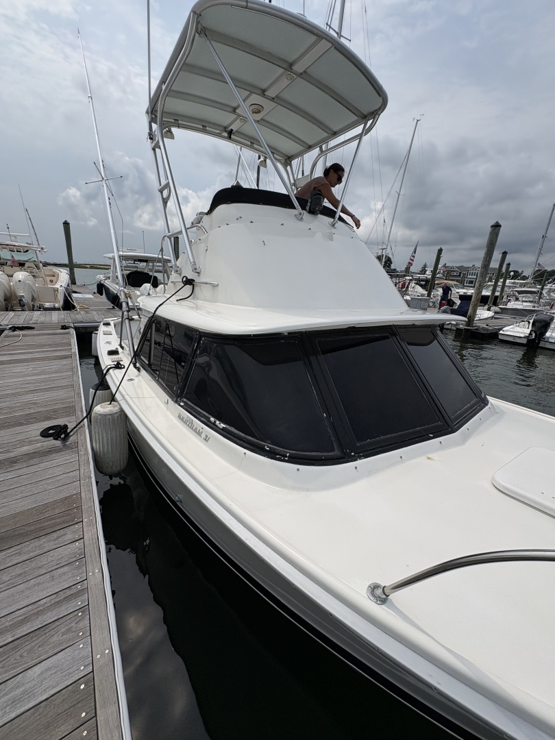 1972 Bertram 31