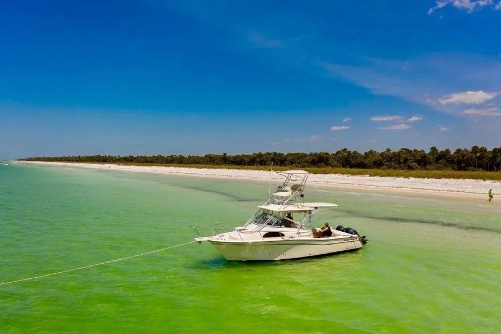 Reel Doctor 32ft Grady White Yacht For Sale