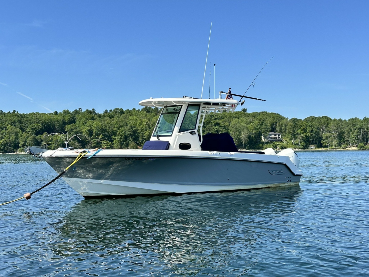 2024 Boston Whaler 250 Outrage