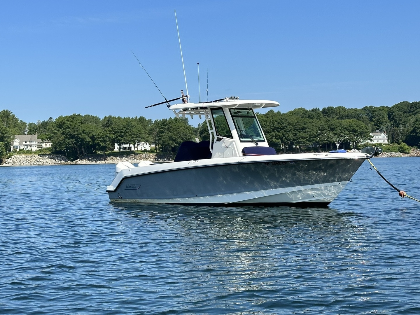 2024 Boston Whaler 250 Outrage