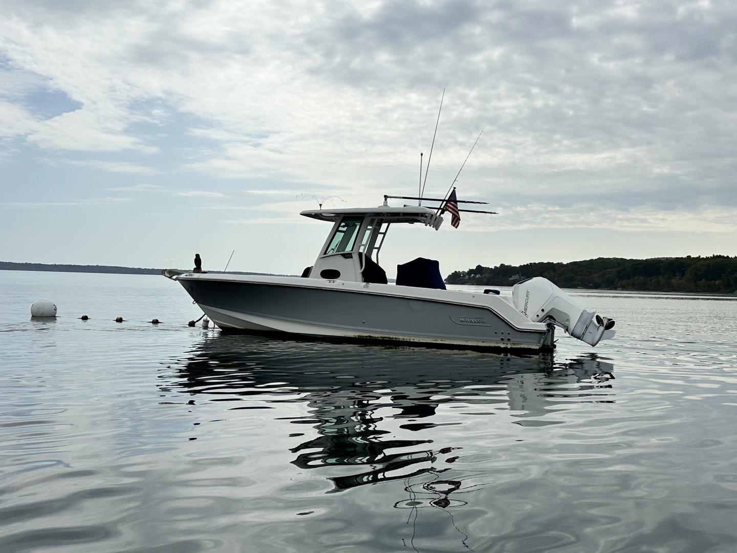 2024 Boston Whaler 250 Outrage