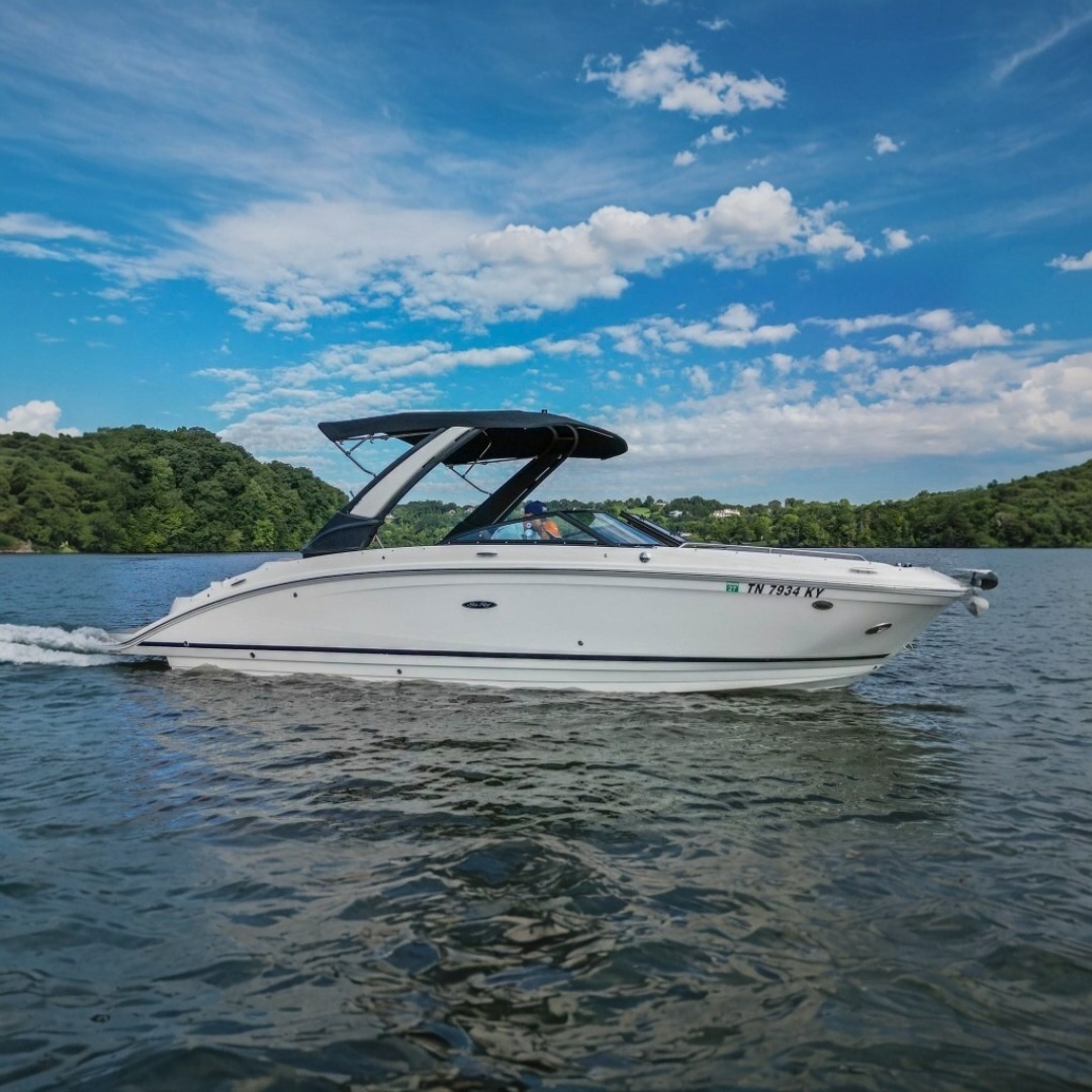 2024 Sea Ray SDX 270 — photograph 2