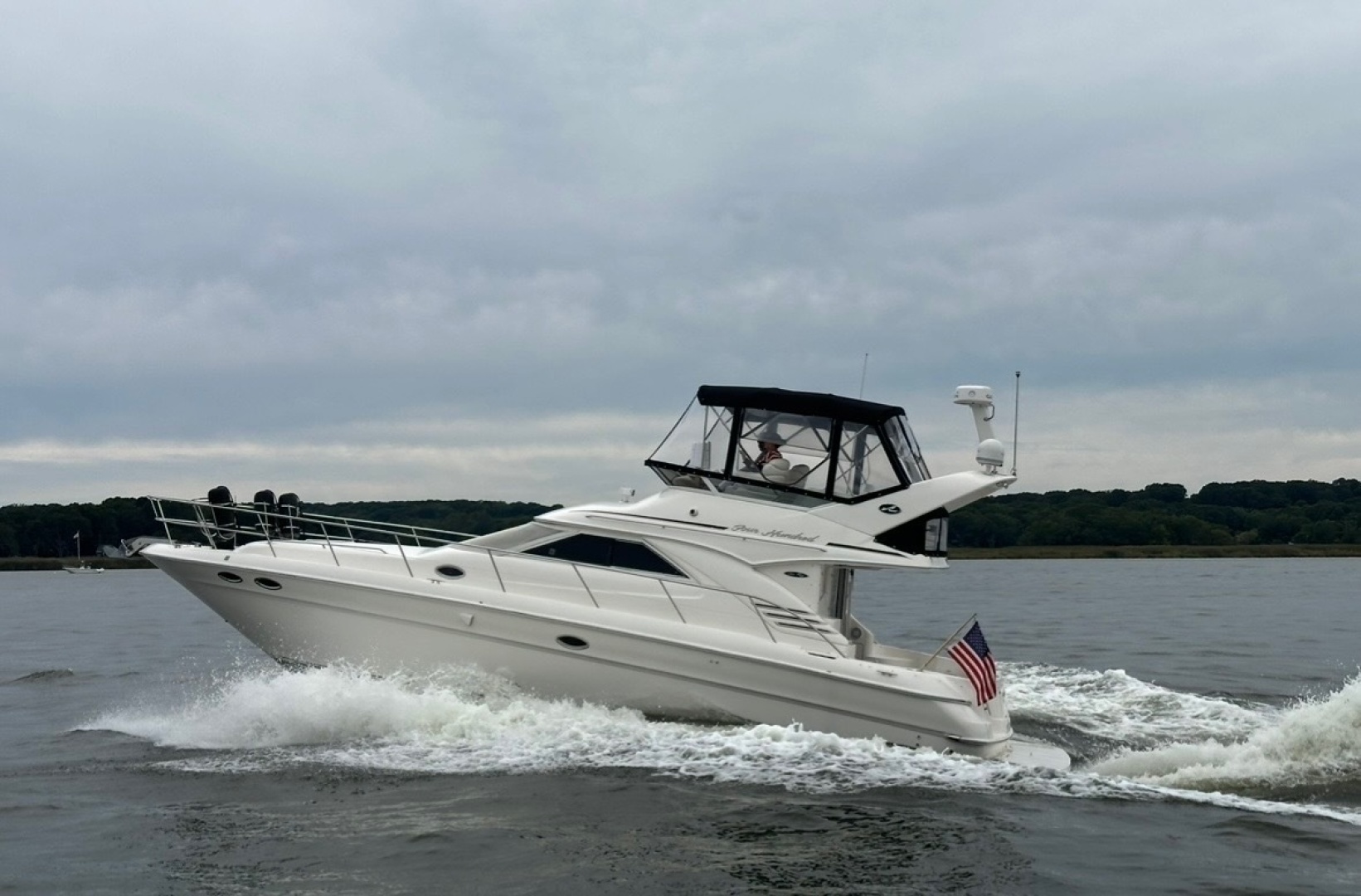 2004 Sea Ray 400 Sedan Bridge