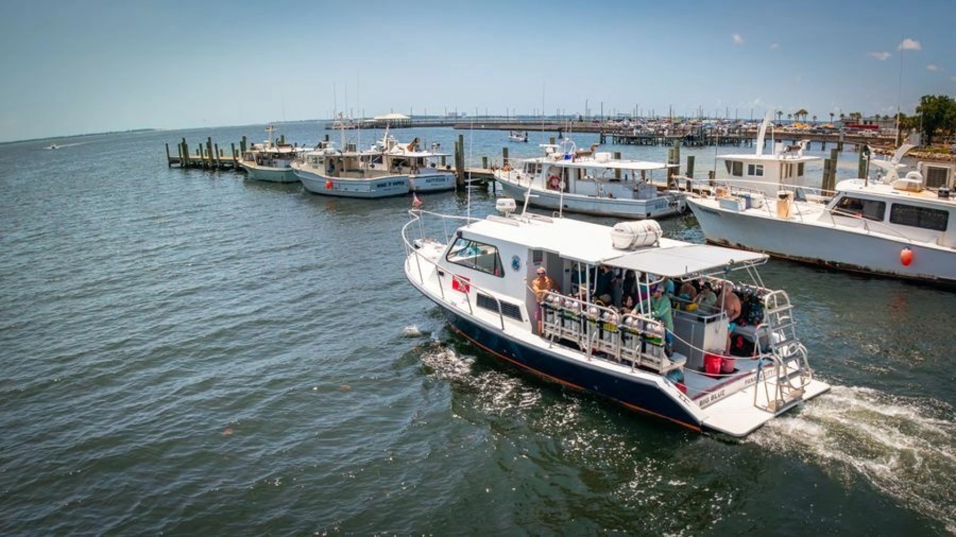 Newton 36' Dive Special Yacht For Sale