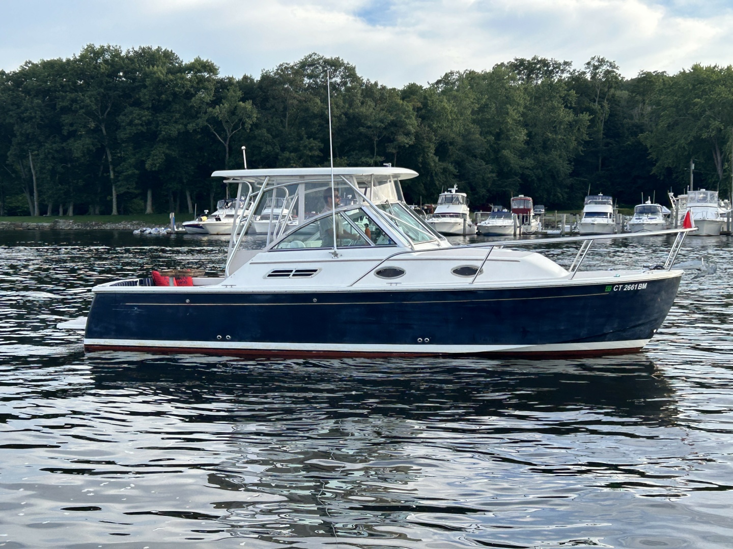 2005 Back Cove 