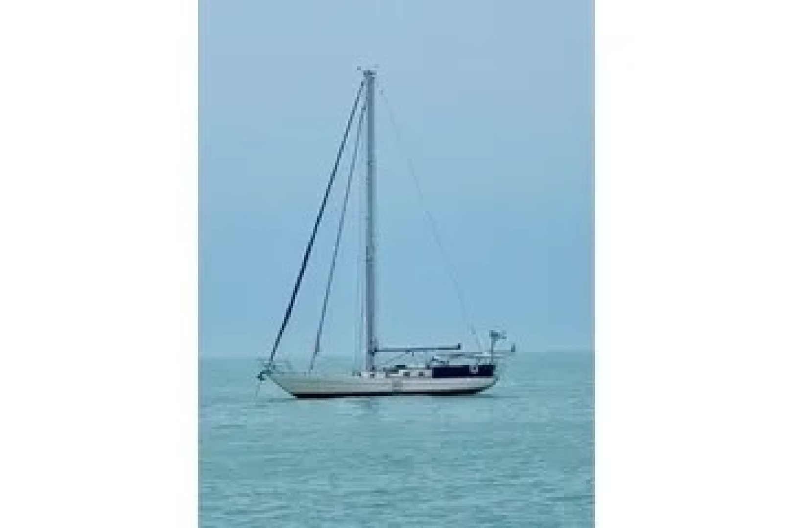 2011 Reliance 44