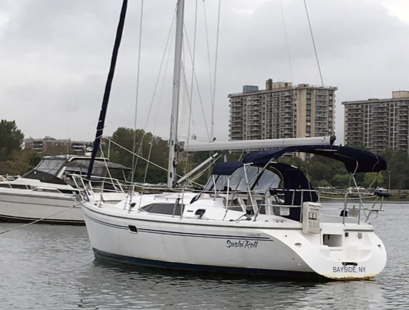 2006 Catalina 309
