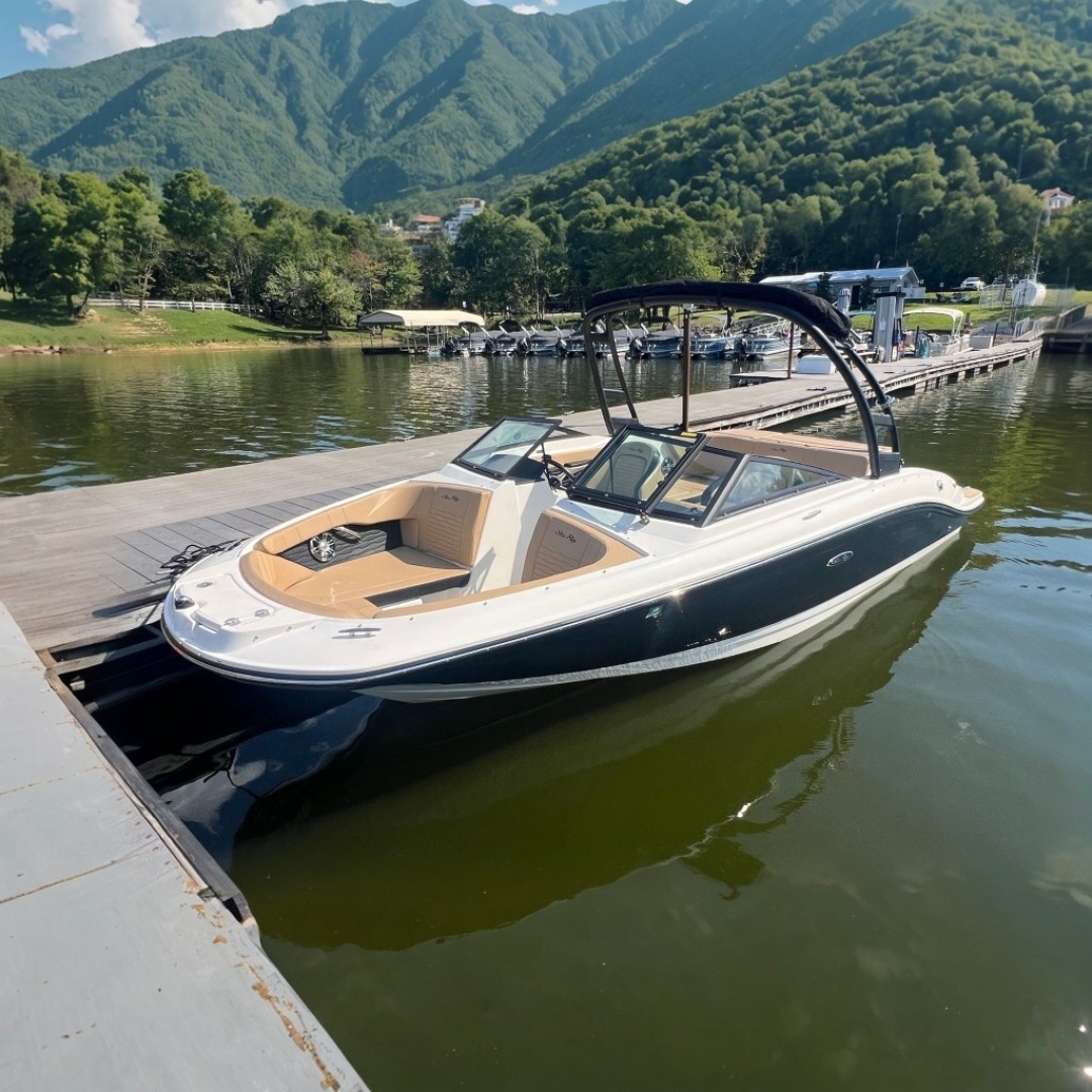 2022 Sea Ray SPX 210