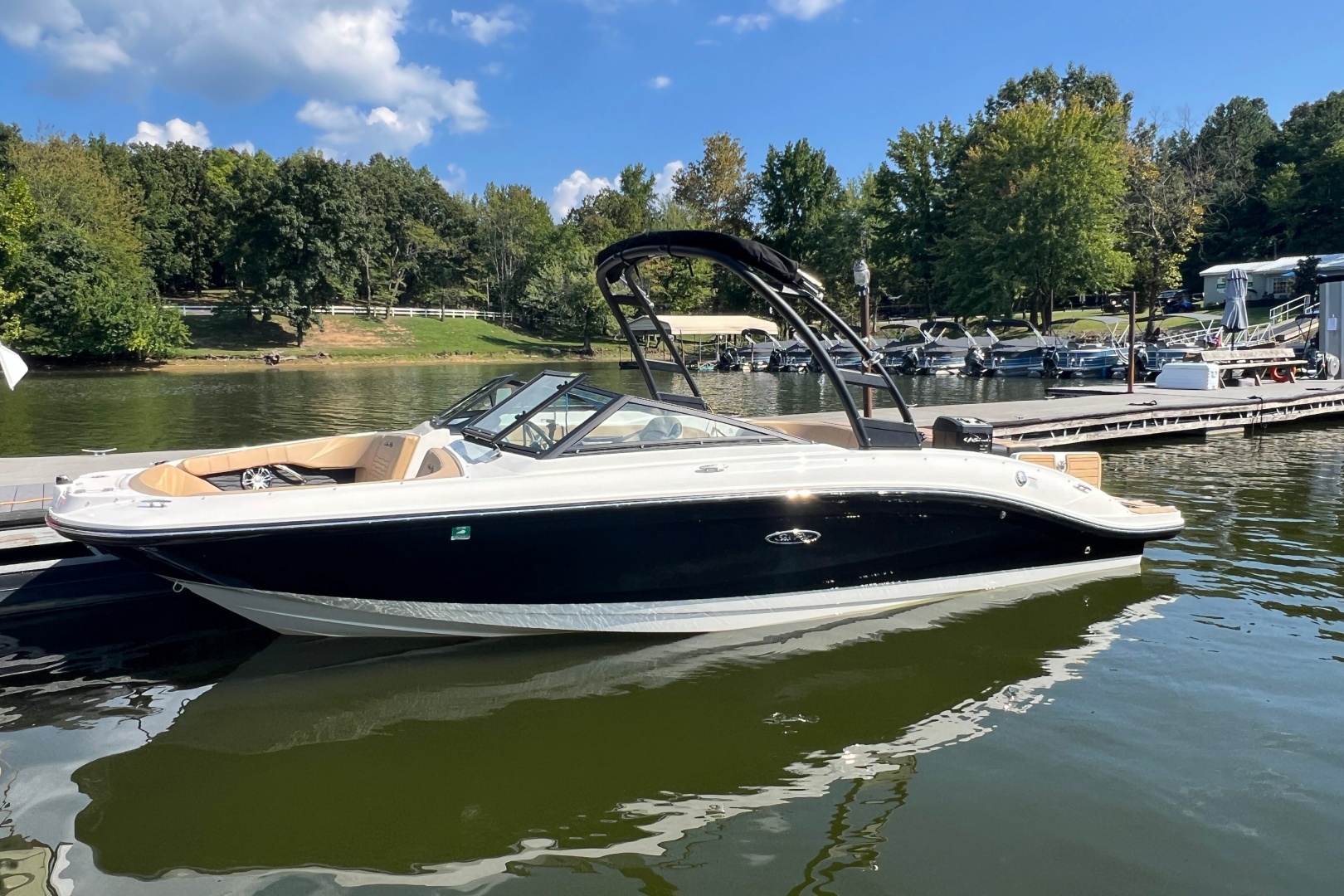 21ft Sea Ray Yacht For Sale 21ft Sea Ray Yacht For Sale