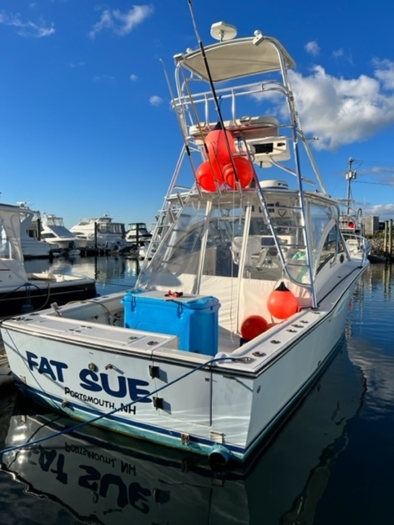 Transom View At Dock