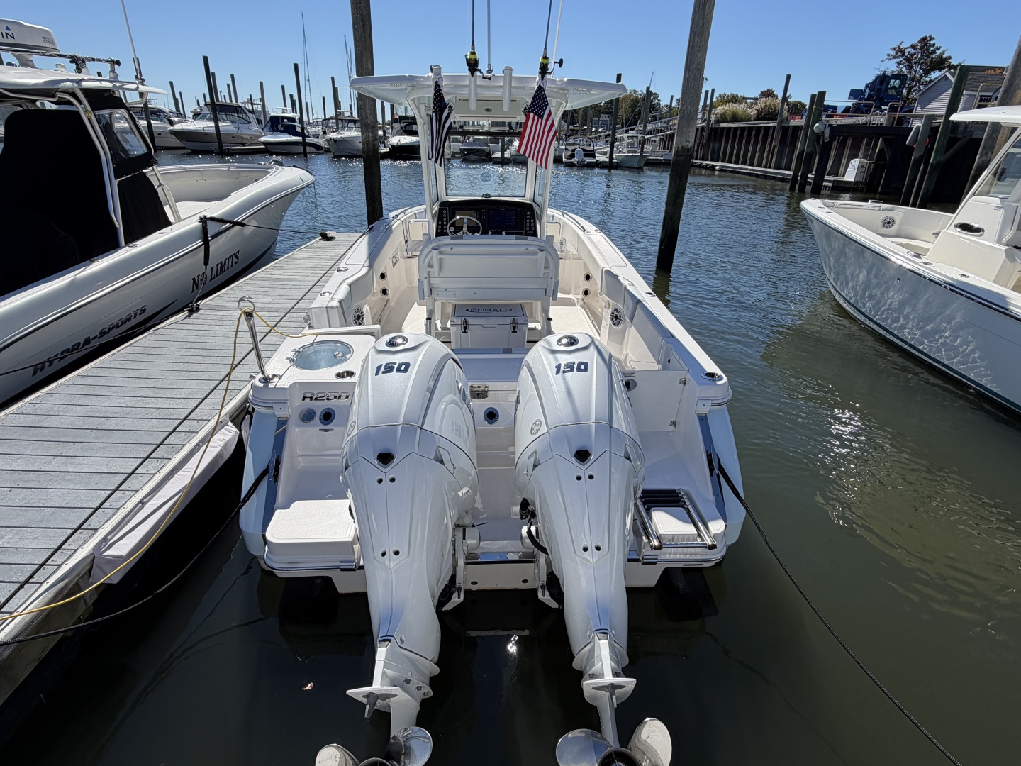2025 Robalo R250