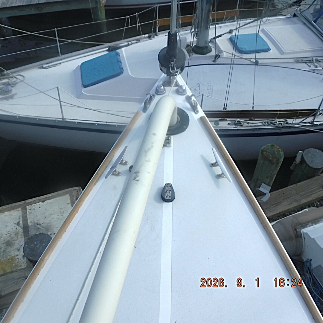 DSCF7174