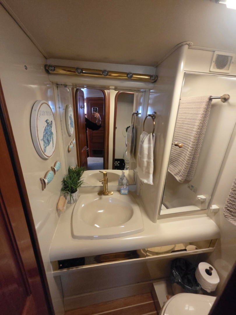 Bizz Sea Livn 44ft Viking Yacht For Sale